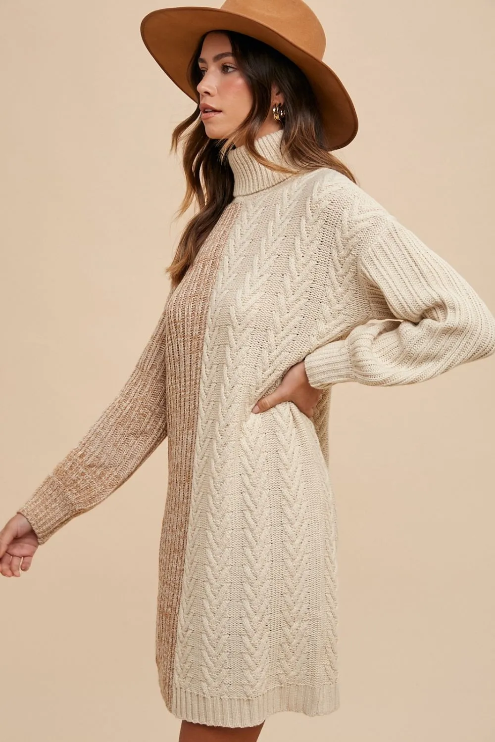 Cozy Contrast Turtleneck Knit Dress