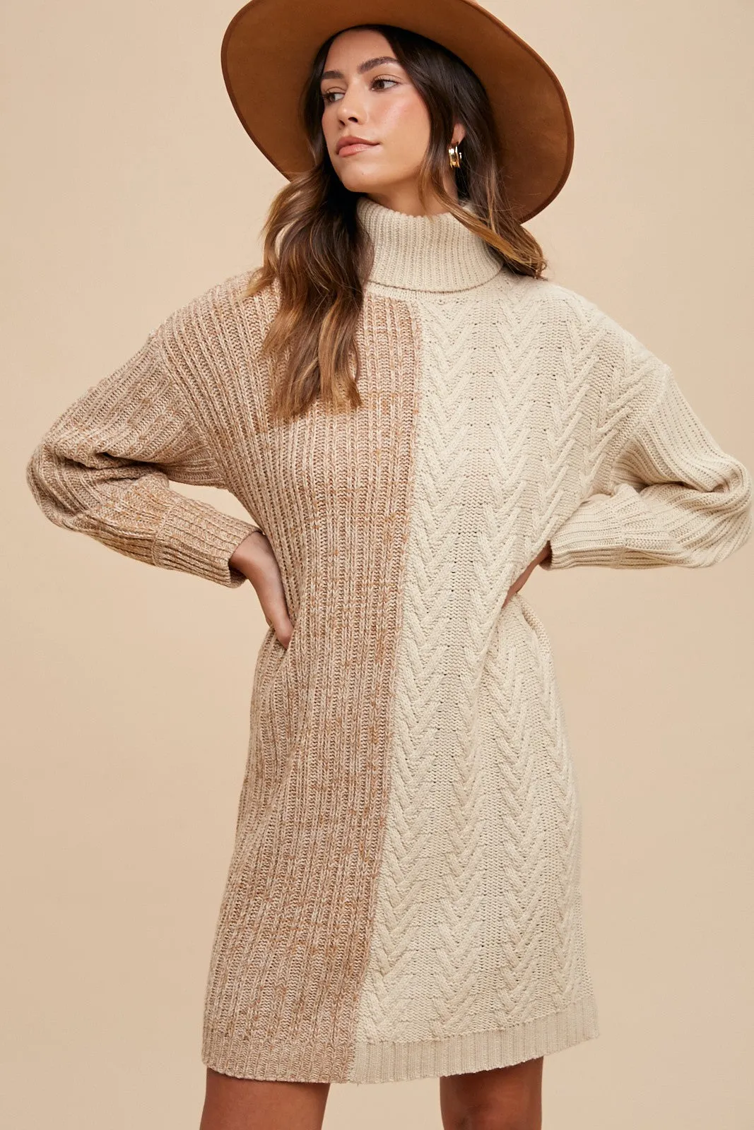 Cozy Contrast Turtleneck Knit Dress