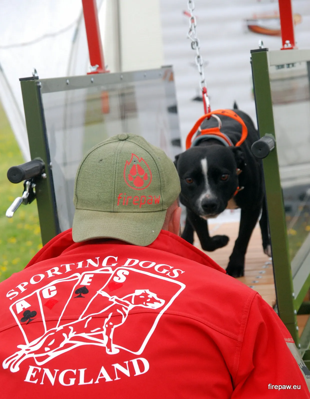 FirePaw Dog Treadmills