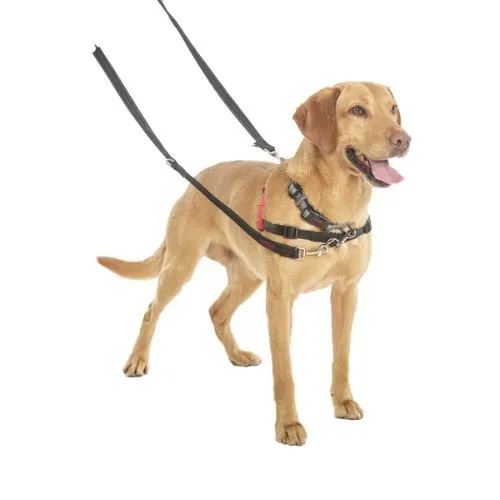 Halti Training Dog Lead Large