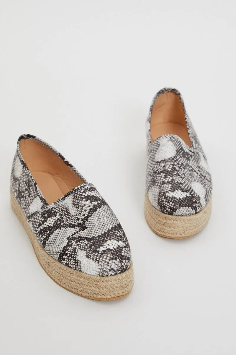 Print Flatform